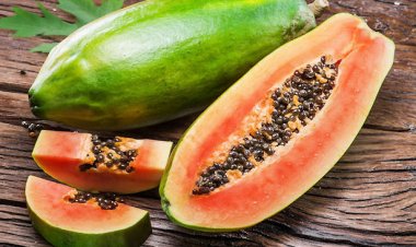 Những lợi ích tuyệt vời của hạt đu đủ