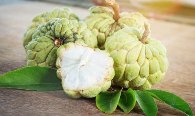 Giảm cân, da trắng mịn nhờ ăn loại quả này