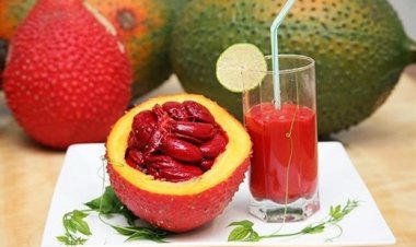 Dầu gấc chữa nám da, giúp da trắng mịn và ngăn ngừa lão hóa