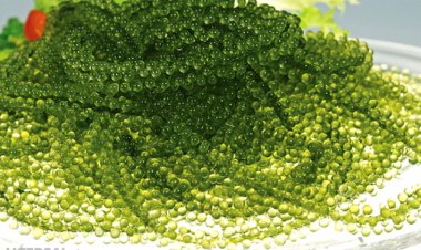 'Siêu thực phẩm' chống ung thư tự nhiên có thể bạn chưa biết