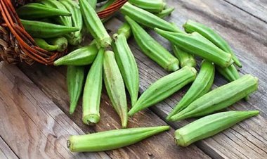 Hai loại rau được mệnh danh là vua của các loại rau