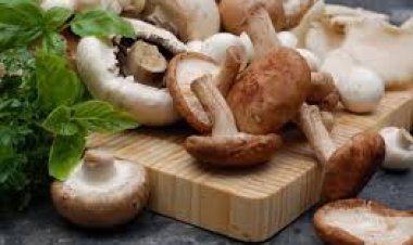 Những món ăn ngon giúp bồi bổ sức khỏe từ nấm hương