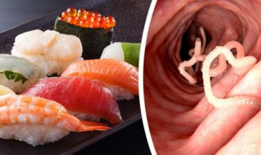 5 món ăn rất bổ dưỡng khi nấu chín nhưng nếu ăn sống sẽ dễ gây ngộ độc, nhiễm giun sán hại thân