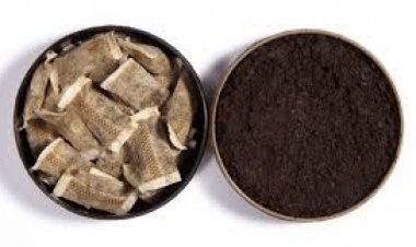 Thuốc lá không khói cũng gây hại cho sức khỏe con người