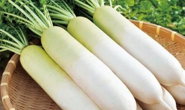 Vô tình biến củ cải trắng thành độc dược nếu ăn cùng 4 loại thực phẩm này