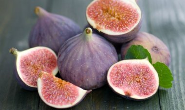 Công dụng trị bệnh và phòng chống ung thư tuyệt vời từ quả sung