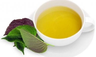 Bất ngờ với công dụng làm đẹp thần kỳ của nước lá tía tô