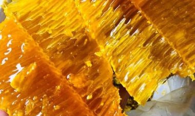 Mật ong có gì tốt mà được gọi là 'siêu thực phẩm', khắp thế giới đều ưa chuộng?