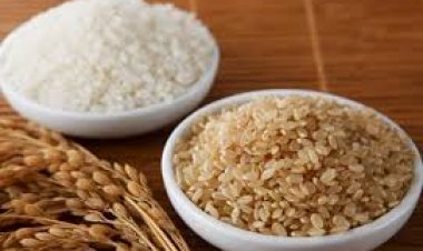 Lý giải xu hướng chuộng gạo lứt – So sánh gạo trắng và gạo lứt