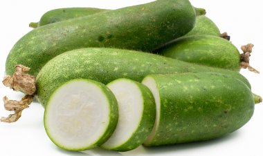 Ăn nhiều bí đao gây hại cho hệ tiêu hóa