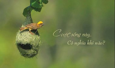 Ý nghĩa của đời sống