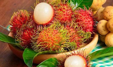 Những công dụng phòng trị bệnh tuyệt vời của chôm chôm