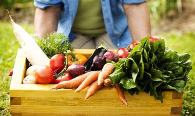 10 xu hướng dinh dưỡng lành mạnh trong năm 2021