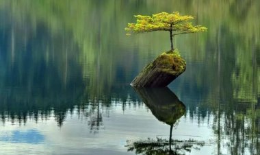 Phẩm chất và sự tự tu dưỡng quyết định hình ảnh và phong cách mỗi người