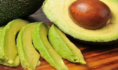 Quả bơ 'Siêu thực phẩm' món quà cho sức khỏe