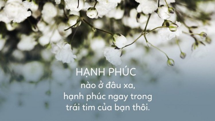 8 loại hạnh phúc quý giá nhất ai cũng có