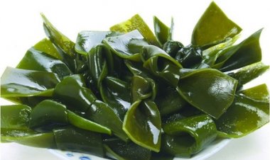 Côn bố giúp trị bướu cổ, viêm phế quản mạn