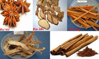 Rượu thuốc xoa bóp trị bệnh khớp