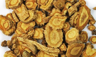 Phòng phong trừ thấp, chỉ thống