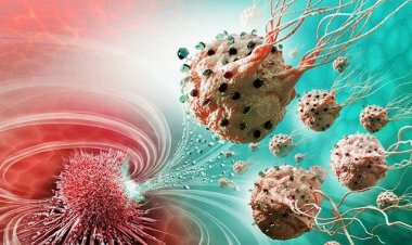 Điều trị đích là gì?