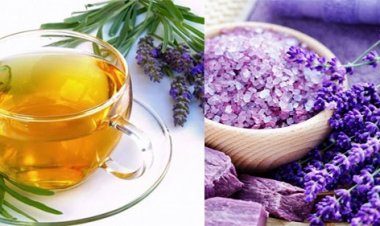 4 loại trà giúp bạn có giấc ngủ ngon