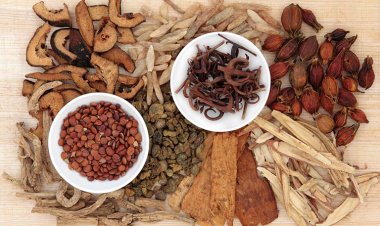 Telemedicine trong y học cổ truyền: 'Cánh tay nối dài' trong dịch vụ y tế