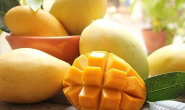 Sai lầm cực nguy hại khi ăn xoài bạn phải dừng lại ngay