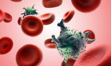 Vì sao bệnh ung thư dễ tái phát?