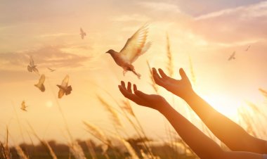 3 điều một người có tu dưỡng sẽ thủ giữ trong đời