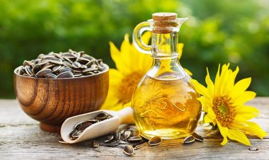 5 công dụng tuyệt vời của dầu hướng dương trong việc làm đẹp