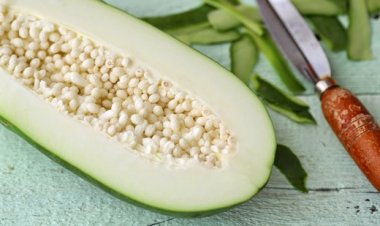 Cách chữa bệnh bằng đu đủ xanh có thể bạn chưa biết