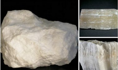 Thạch cao: Vị thuốc thanh nhiệt, trừ phiền, chỉ khát