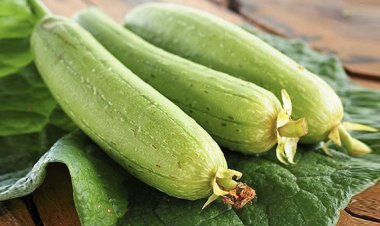 Mướp - Loại quả rẻ tiền giúp hỗ trợ và điều trị bệnh viêm xoang và nhiều căn bệnh nguy hiểm khác