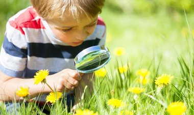 Cách khơi dậy tiềm năng thiên tài của mỗi đứa trẻ