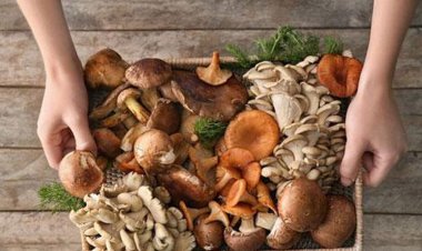 6 lý do khiến bạn nên ăn nấm nhiều hơn