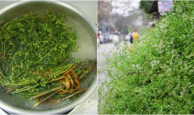 Nước tắm lá mùi già ngày Tết đắt khách