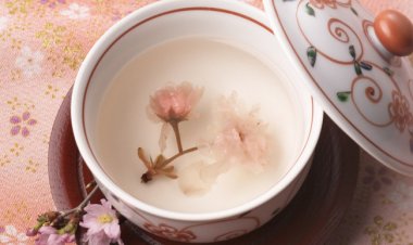 Hoa đào: bổ thận, dưỡng nhan