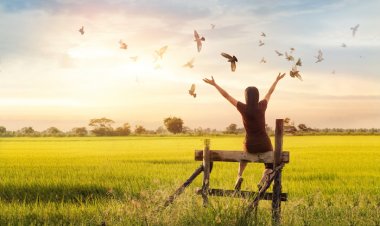 3 thái độ sống sẽ mang lại cho bạn một cuộc sống an nhàn