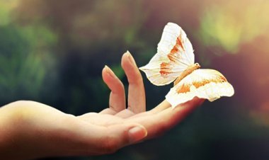 Dấu hiệu dễ nhận biết một người sướng hay khổ cả đời