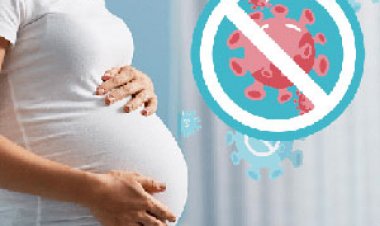 Thai nhi được truyền kháng thể chống Covid-19 từ trong bụng mẹ?