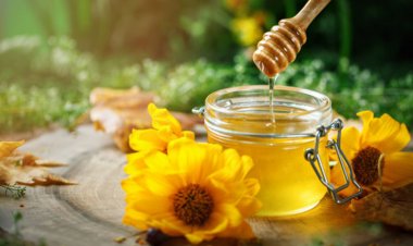 Công dụng của mật ong đối với sức khỏe bà bầu