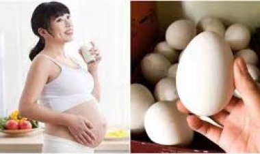 Thực hư quan niệm ăn trứng ngỗng tốt cho thai nhi