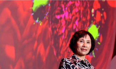 Tìm ra loại thuốc mới có thể điều trị u não ác tính cấp độ IV