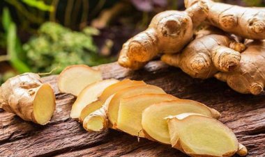 Tiềm năng chữa bệnh tự miễn của củ gừng
