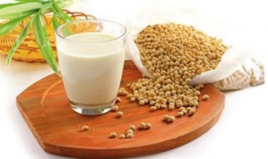 Bài thuốc chữa bệnh từ đậu tương