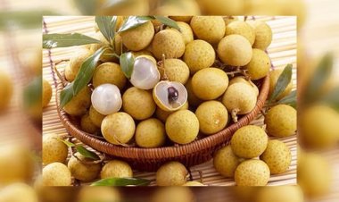 Những tác dụng thần kỳ của quả nhãn