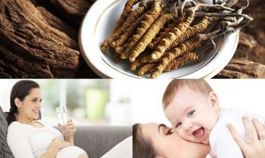 Phụ nữ có thai và sinh con dùng đông trùng hạ thảo được không?