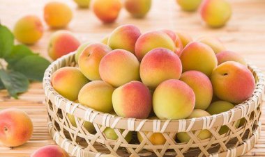 Những người tuyệt đối không nên ăn đào