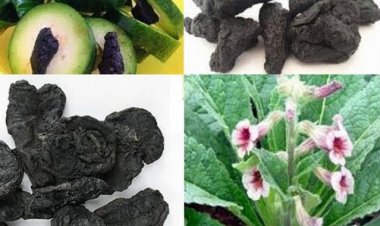 Những bài thuốc ngâm Rượu bổ khí huyết cho nam giới tuổi trung niên