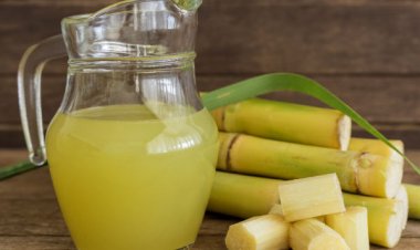 'Thần dược' khử độc của Đông y